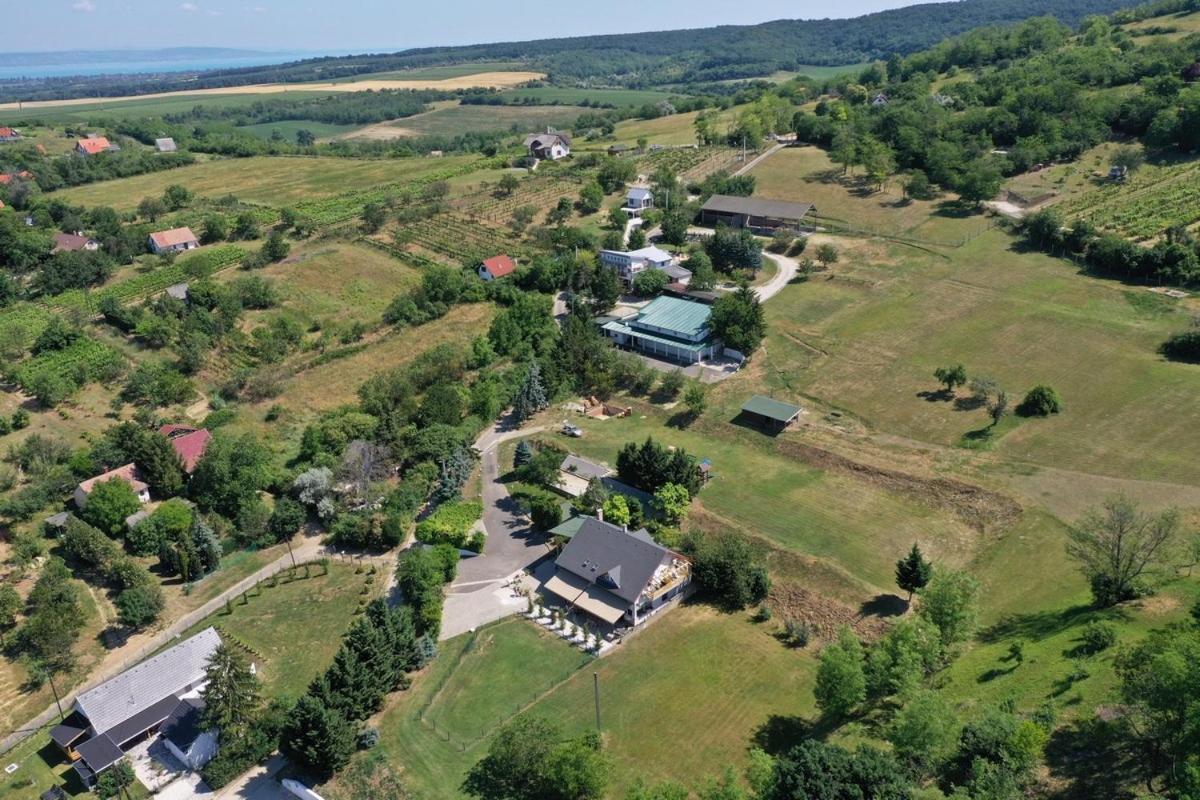 Borkuti Panzio Es Apartman Balatonszárszó エクステリア 写真