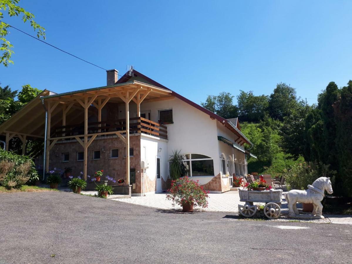 Borkuti Panzio Es Apartman Balatonszárszó エクステリア 写真